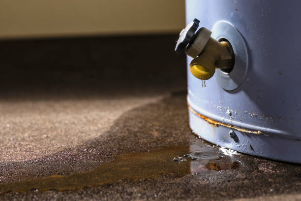 Best Mold removal after water damage  in Franconia, VA