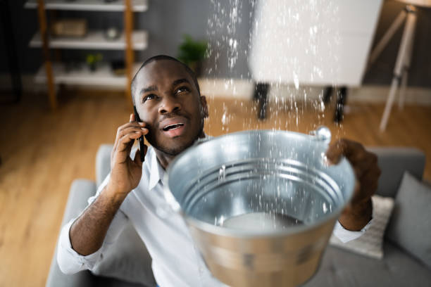 Best Local water damage restoration  in Franconia, VA