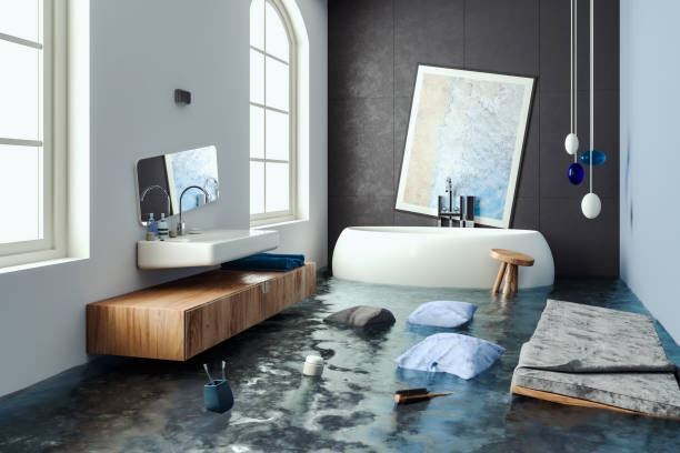 Best Water damage cleanup near me  in Franconia, VA