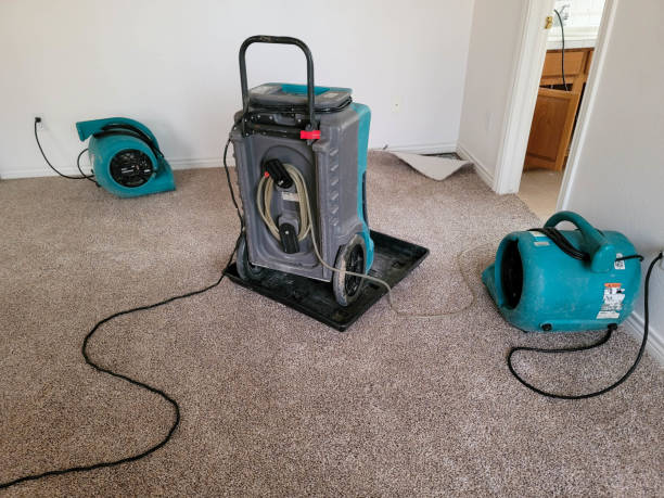 Best Emergency water damage restoration  in Franconia, VA