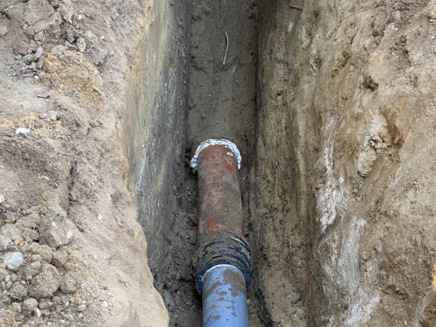 Best Flood restoration services  in Franconia, VA
