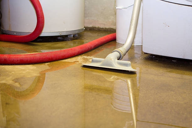 Water damage restoration process in VA