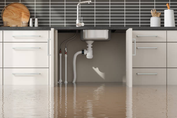 Best Local water damage restoration  in Franconia, VA